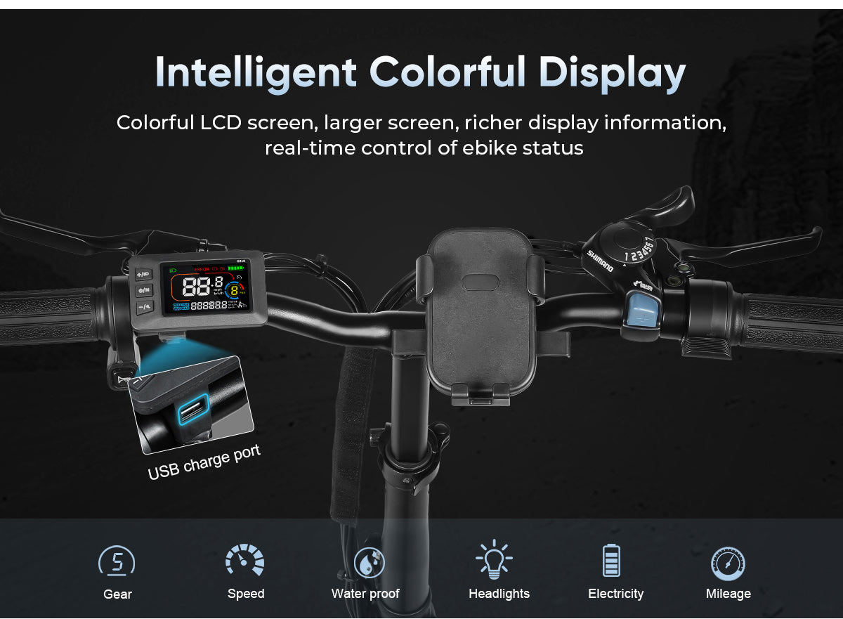 CY20 Draagbare Elektrische Fiets voor Forenzen