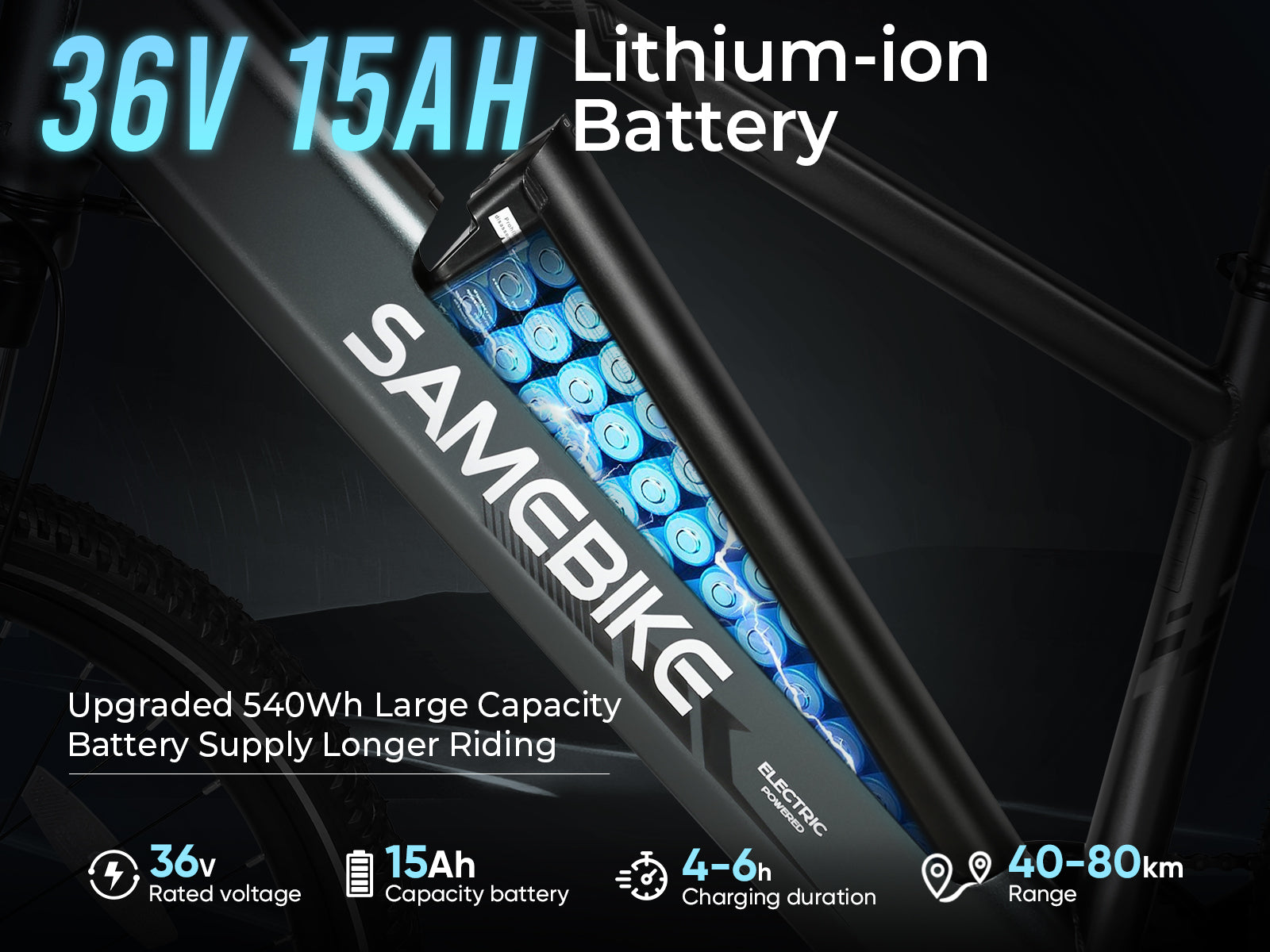 RS-A01 HEREN Elektrische Forensenfiets