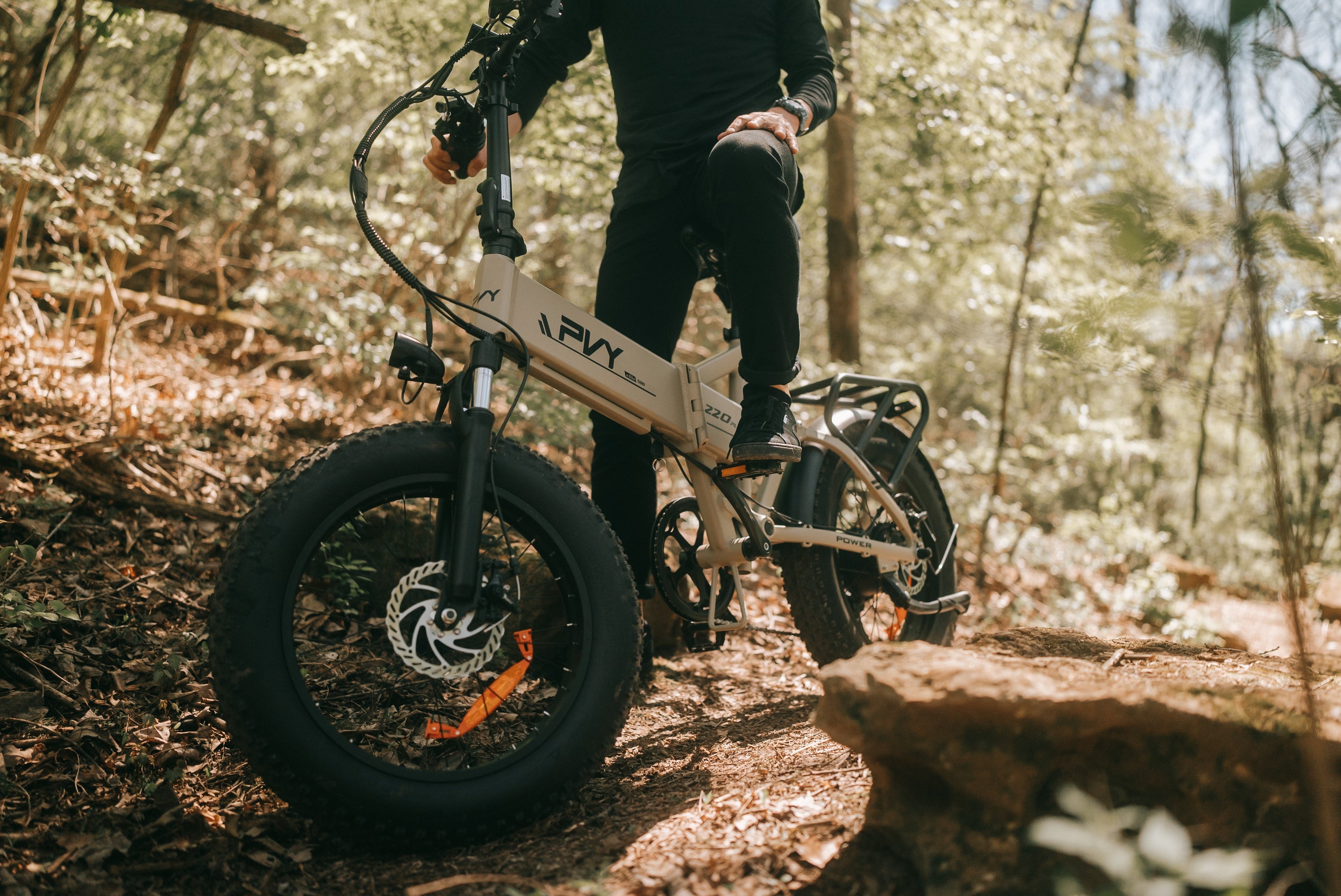 Off Road E-Bike