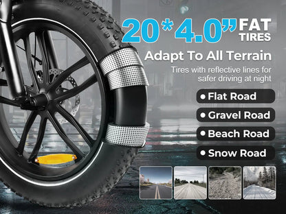 C05 Pro Stap-door Opvouwbare Dikke Banden Ebike