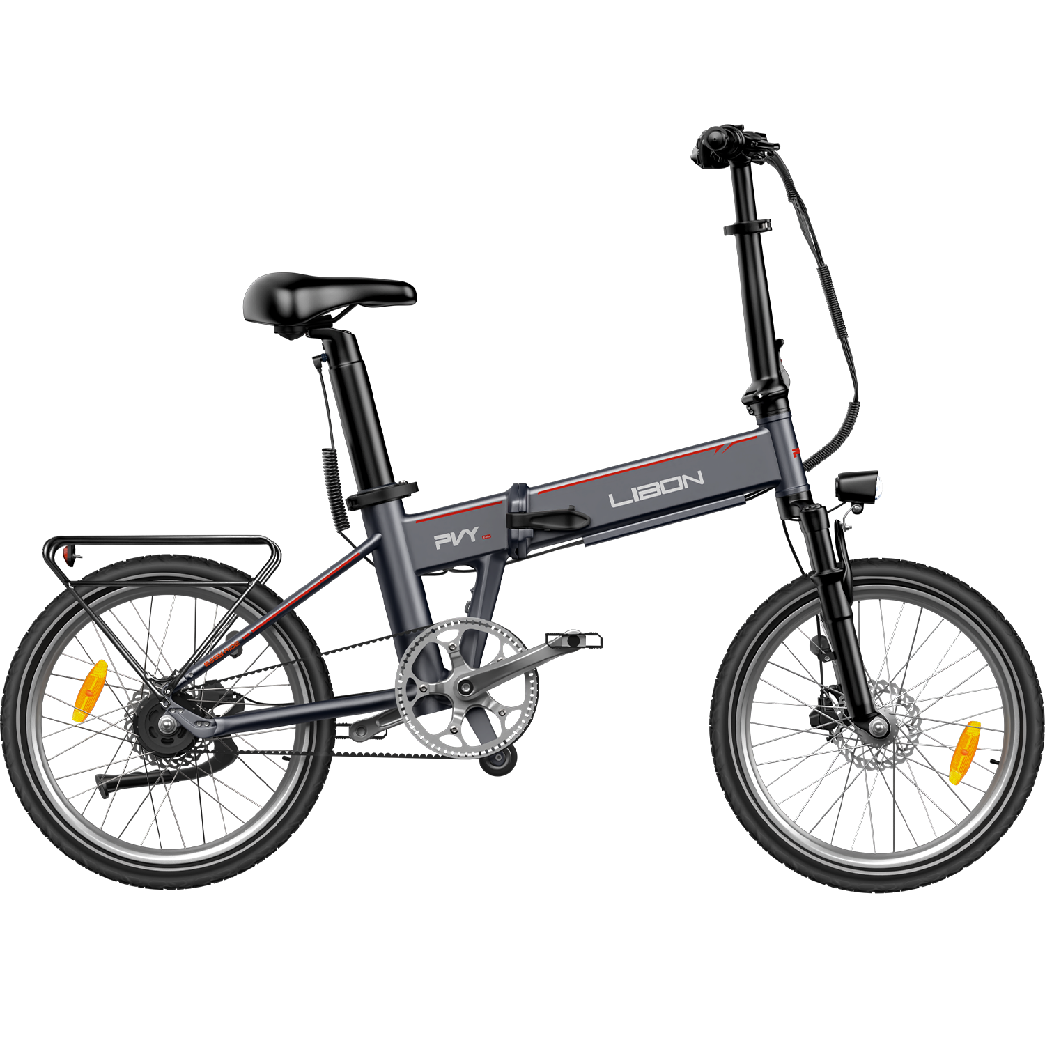 PVY LIBON（copia）