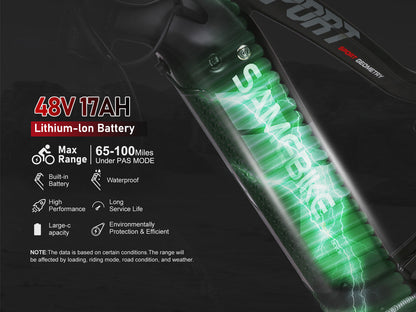 RSA08-II 1000W Bicicletta Elettrica Tutto Terreno