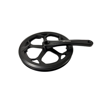 Guarnitura con pedivella