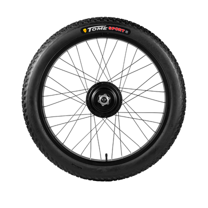 26*3.0 takapyörän moottori (mukaan lukien vanne)