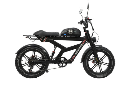 DUOTTS F20 Electric Bike Ship to US