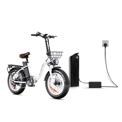 Drvetion CT20 20AH+20AH Dual batterier