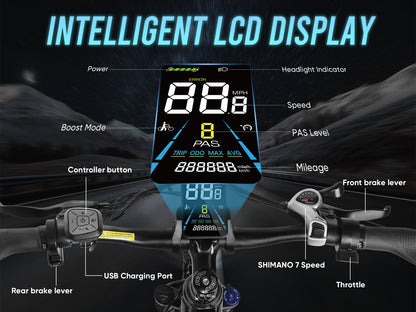 RS-A01 HEREN Elektrische Forensenfiets