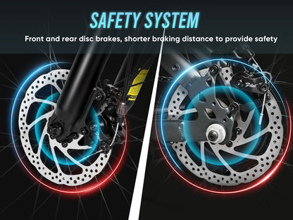 RS-A01 HEREN Elektrische Forensenfiets