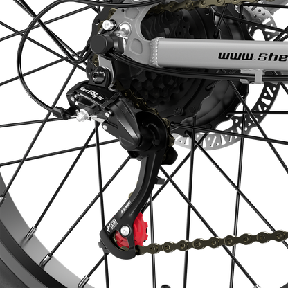 Shengmilo S600 2000W dubbele motor elektrische fiets