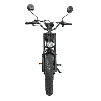 DUOTTS F20 20" Off Road Electric Bike 750W Motor 52V 27Ah Battery