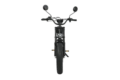 DUOTTS F20 Electric Bike Ship to US