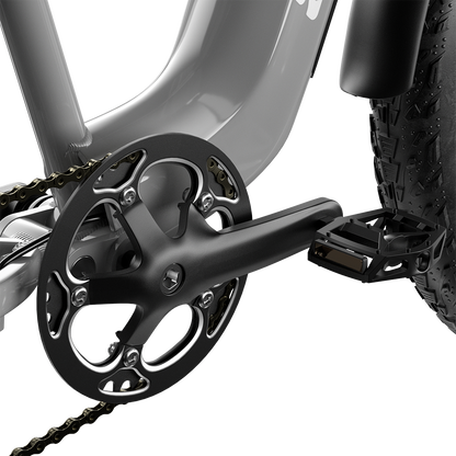 Shengmilo S600 2000W dubbele motor elektrische fiets