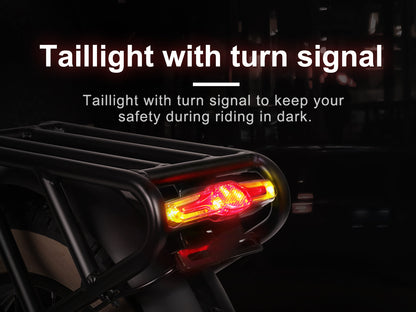 Vélo de montagne électrique à gros pneus XWLX09-II 1000 W