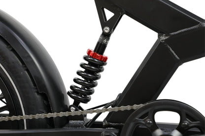 DUOTTS F20 Electric Bike Ship to US