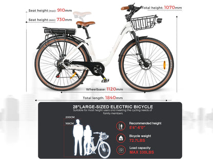 RS-A07 Vélo électrique de loisirs urbain puissant