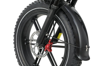 DUOTTS F20 Electric Bike Ship to US