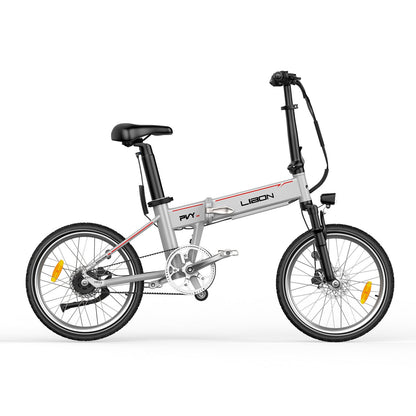 PVY LIBON（备份）