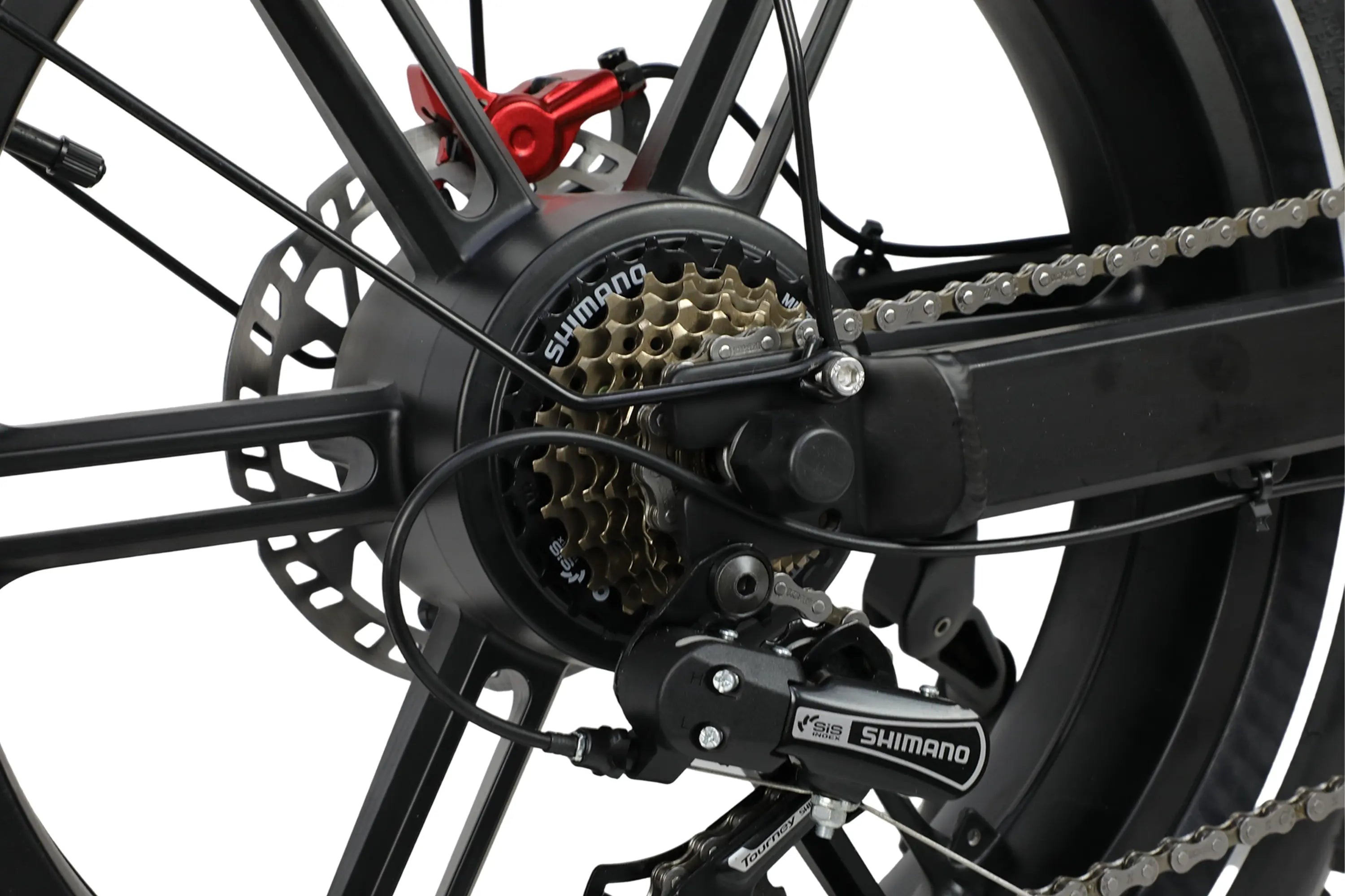 DUOTTS F20 Electric Bike Ship to US