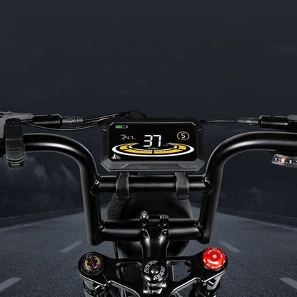 M20-III 2000W Sähköpyörä