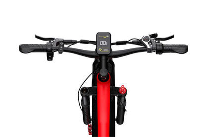 DUOTTS F26 Bicicletta Elettrica Spedizione nel Regno Unito