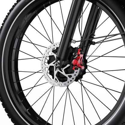 DUOTTS F26 26" Electric Mountain Bike 750W*2 Motors 48V 20Ah Battery