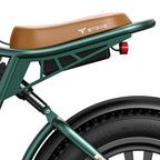 ENGWE M20 20" Fat Tire Off-road Electric Bike 750W Motor 48V 13Ah Battery