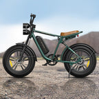 ENGWE M20 20" Fat Tire Off-road Electric Bike 750W Motor 48V 13Ah Battery