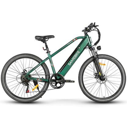 RS-A01 HEREN Elektrische Forensenfiets