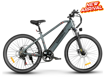 RS-A01 HEREN Elektrische Forensenfiets