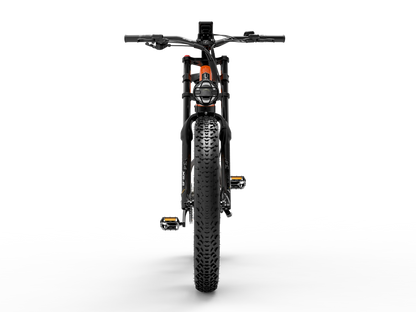 Lankeleisi RV800PLUS