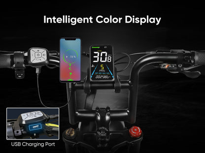 M20 Bicicletta Elettrica 1000W