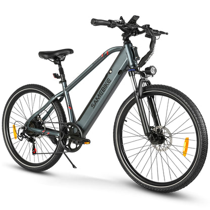 RS-A01 HEREN Elektrische Forensenfiets