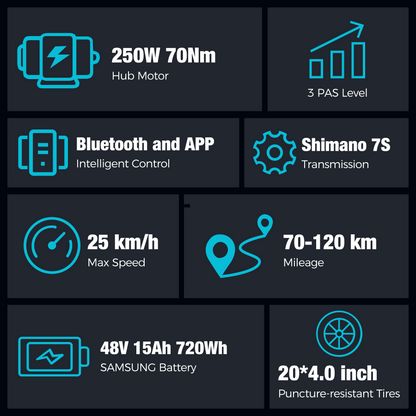 BK10S PRO Folding Electric Bike