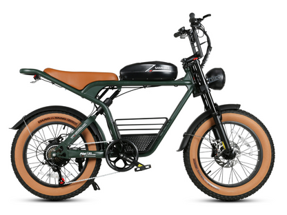 M20 Bicicletta Elettrica 1000W